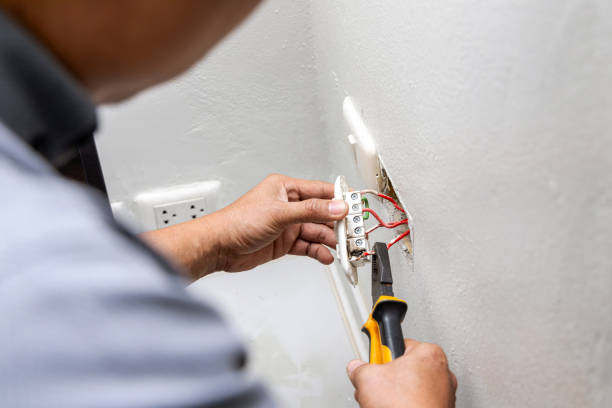 Best Electric Panel Repair  in Mountlake Terrace, WA